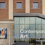 3 - Courtesy of MoCA - Artist - AJones1.jpeg